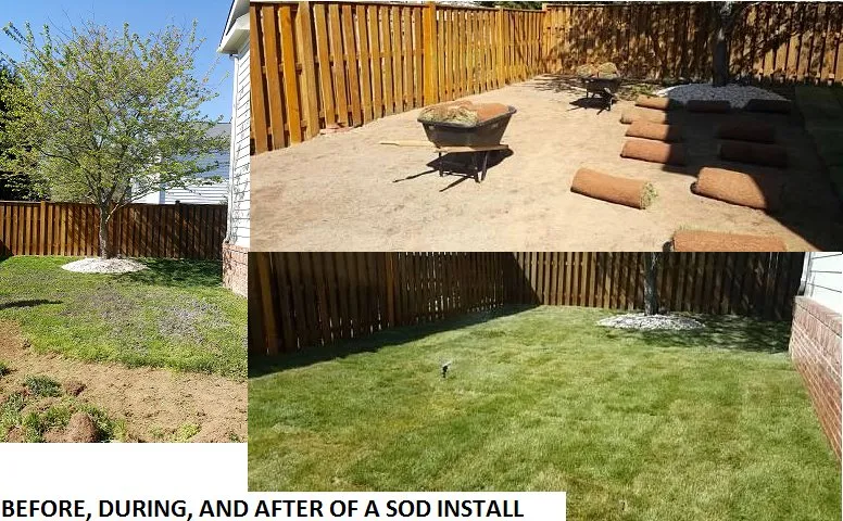 Trusted landscape design near you across Stafford, VA - A&R Landscaping & Maintenance