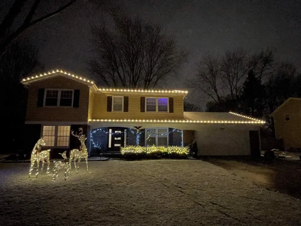 Expert yard cleanup service experts serving Bolingbrook, IL - A&R Landscaping