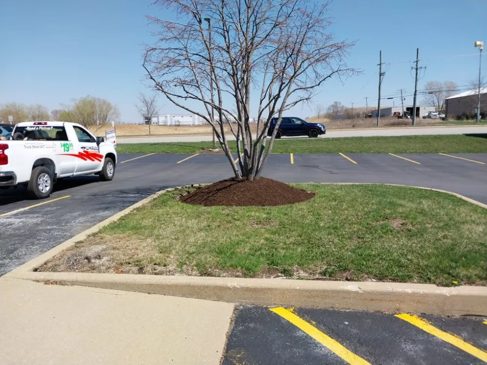 Expert yard cleanup service experts serving Bolingbrook, IL - A&R Landscaping