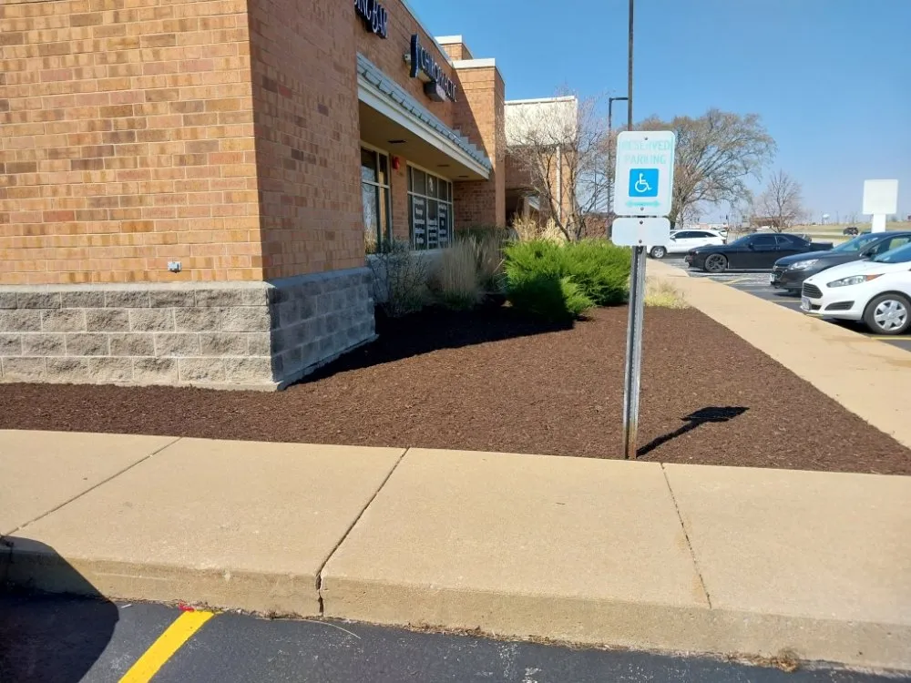 Trusted yard cleanup service experts serving Bolingbrook, IL - A&R Landscaping