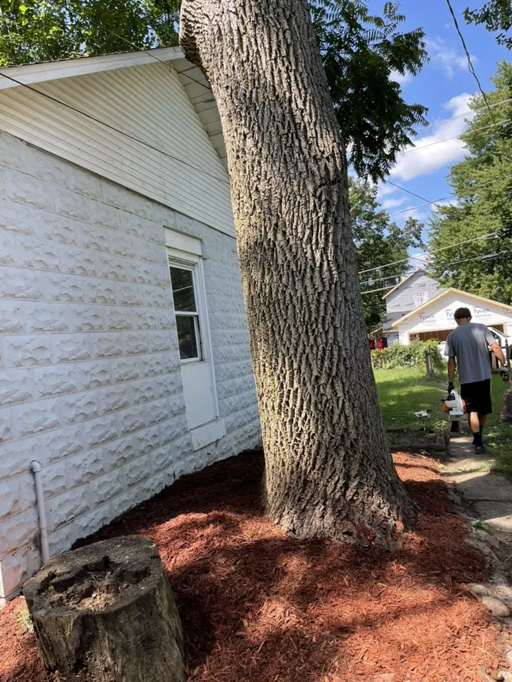 Reliable yard cleanup service for year-round maintenance in Hicksville, OH by A&R Landscaping