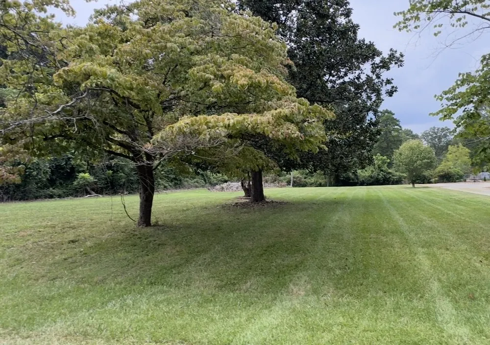 Professional yard cleanup service for beautiful yards in Huntersville, NC by AR Landscaping