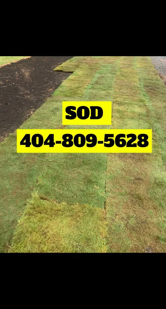 Expert outdoor landscaping in Lawrenceville, GA by A&R Landscaping