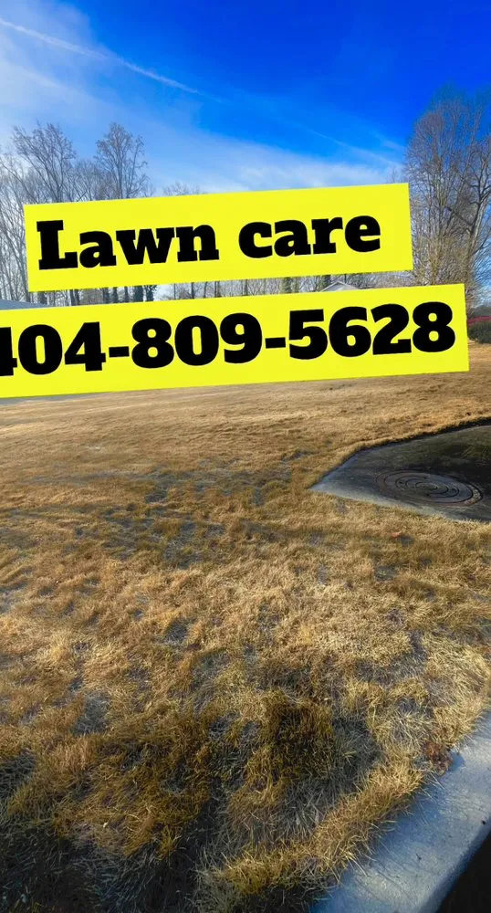 Expert outdoor landscaping with custom design in Lawrenceville, GA by A&R Landscaping