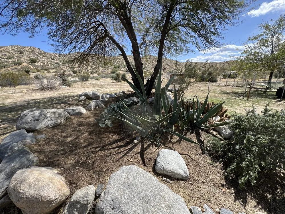 Trusted outdoor landscaping in Yucca Valley, CA - AR Landscaping