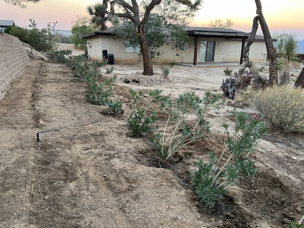 Affordable lawn care service for year-round maintenance in Yucca Valley, CA by AR Landscaping