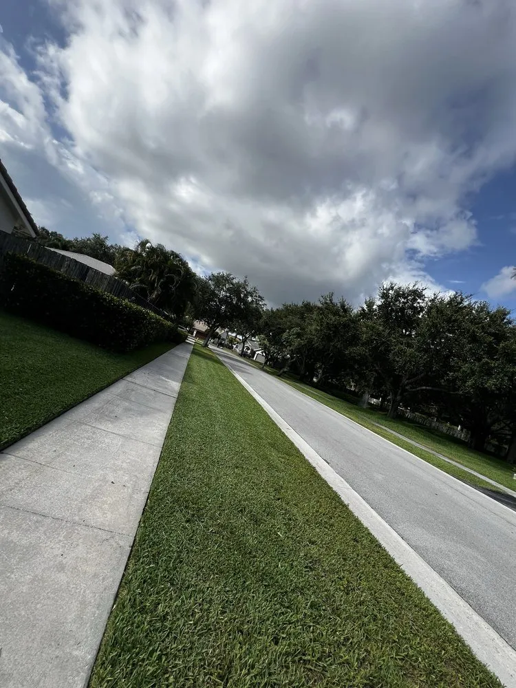 Expert yard maintenance in Fort Lauderdale, FL - AR Lawn & Landscaping Service