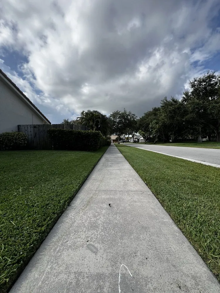 Affordable landscaping services for year-round maintenance in Fort Lauderdale, FL by AR Lawn & Landscaping Service