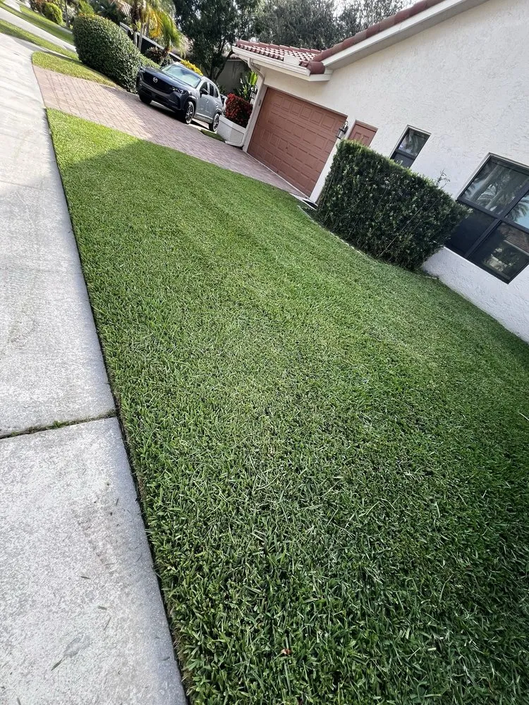 Reliable yard cleanup service in Fort Lauderdale, FL by AR Lawn & Landscaping Service