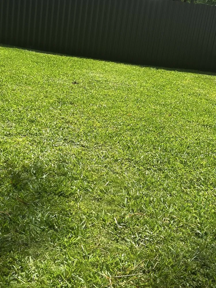 Top-rated outdoor landscaping for year-round maintenance across Fort Lauderdale, FL - AR Lawn & Landscaping Service