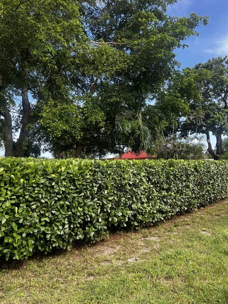Top-rated lawn mowing service for beautiful yards across Fort Lauderdale, FL - AR Lawn & Landscaping Service