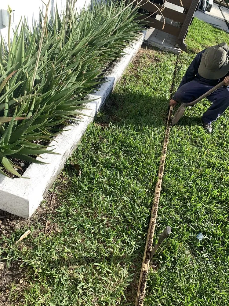 Trusted yard cleanup service in Fort Lauderdale, FL by AR Lawn & Landscaping Service