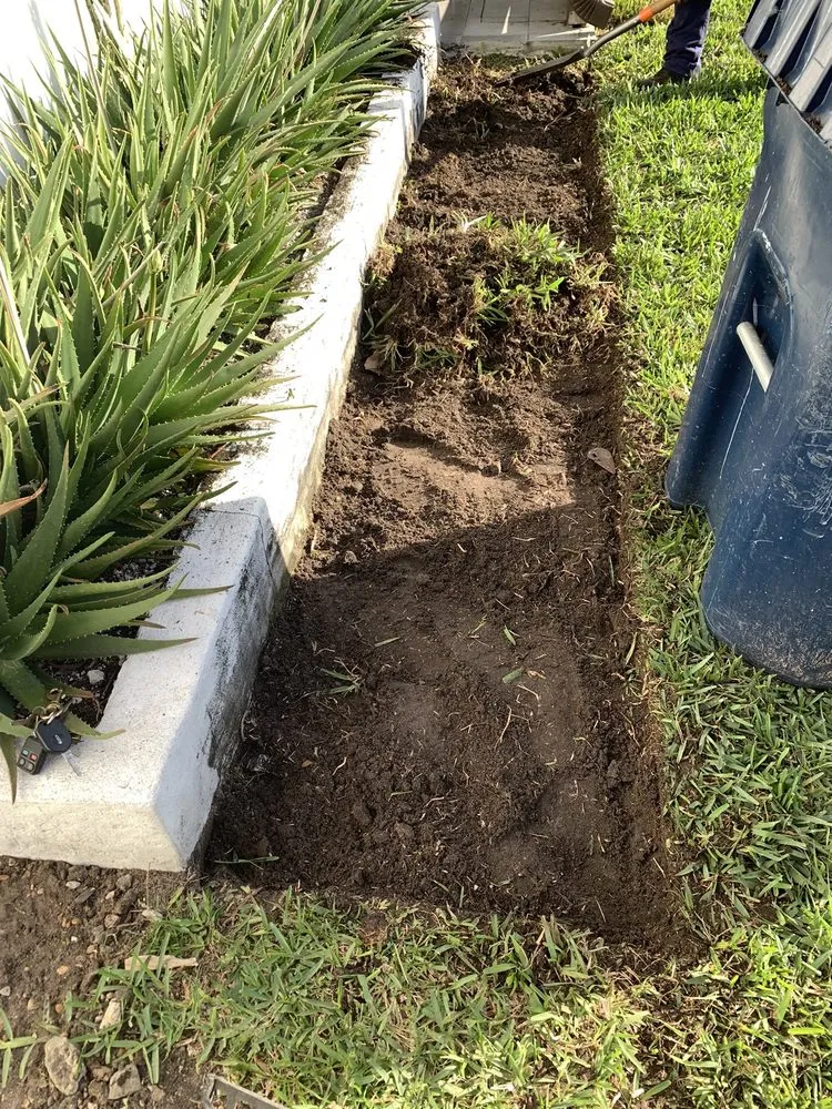 Custom residential landscaping in Fort Lauderdale, FL by AR Lawn & Landscaping Service