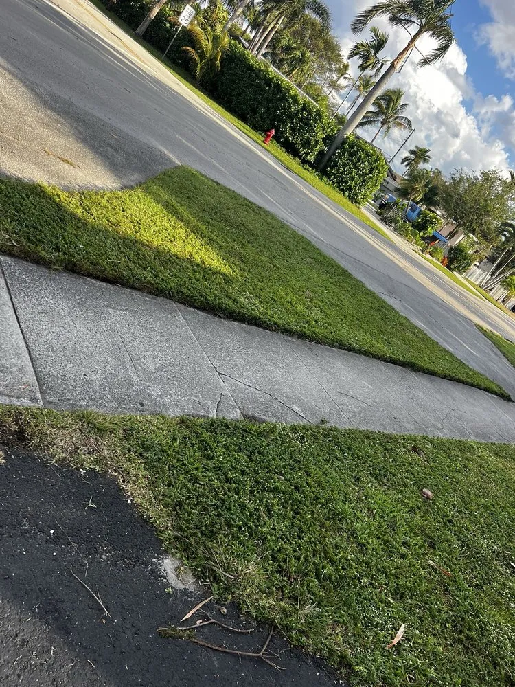 Trusted yard cleanup service for homes in Fort Lauderdale, FL by AR Lawn & Landscaping Service