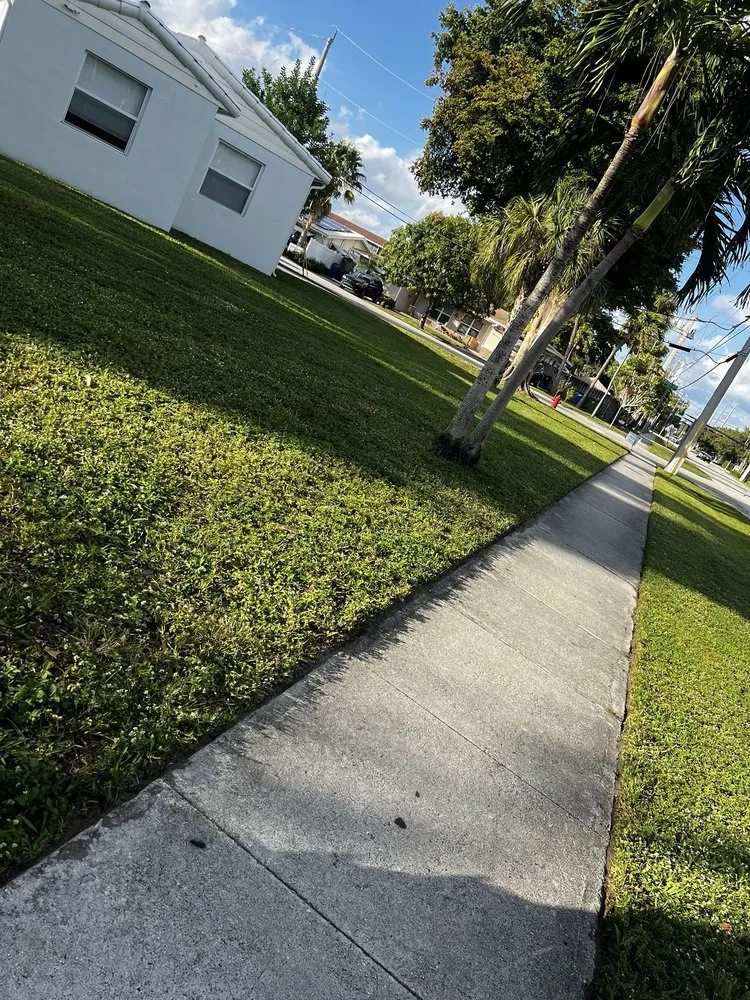 Professional yard cleanup service in Fort Lauderdale, FL by AR Lawn & Landscaping Service