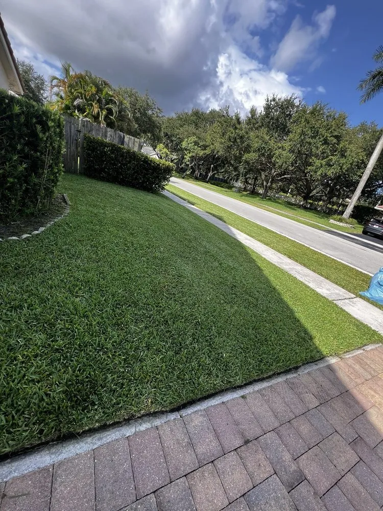 Top-rated yard maintenance for year-round maintenance in Fort Lauderdale, FL by AR Lawn & Landscaping Service