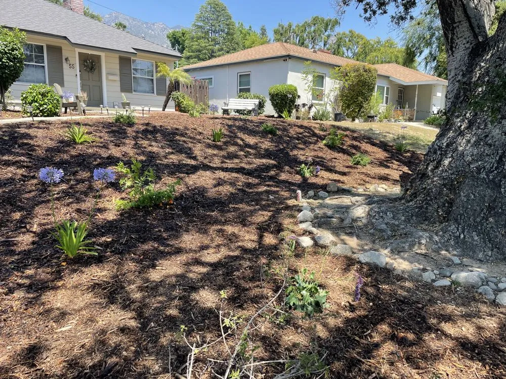 Local yard cleanup service in Monrovia, CA by AR Lawn and Tree Care