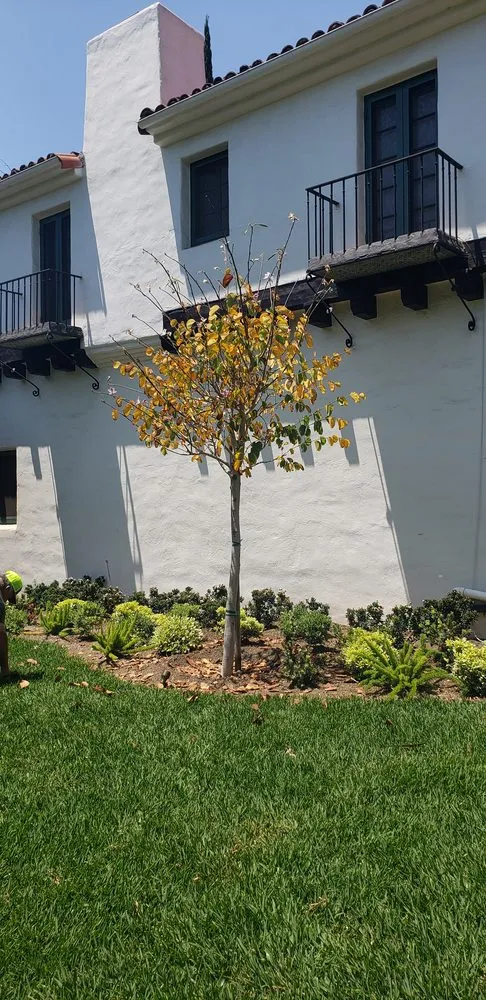 Local residential landscaping experts serving Monrovia, CA - AR Lawn and Tree Care