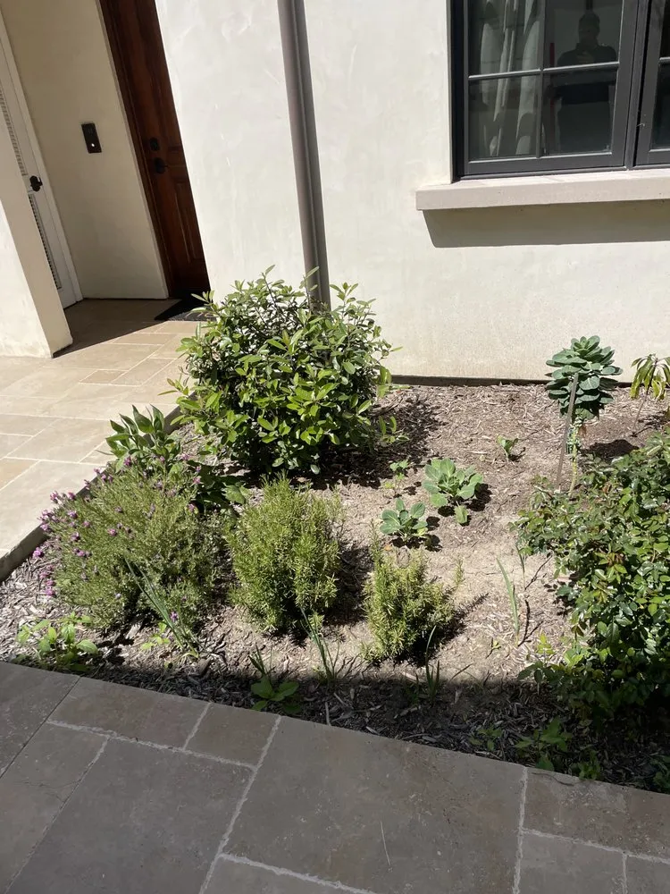 Professional landscape installation in Monrovia, CA - AR Lawn and Tree Care