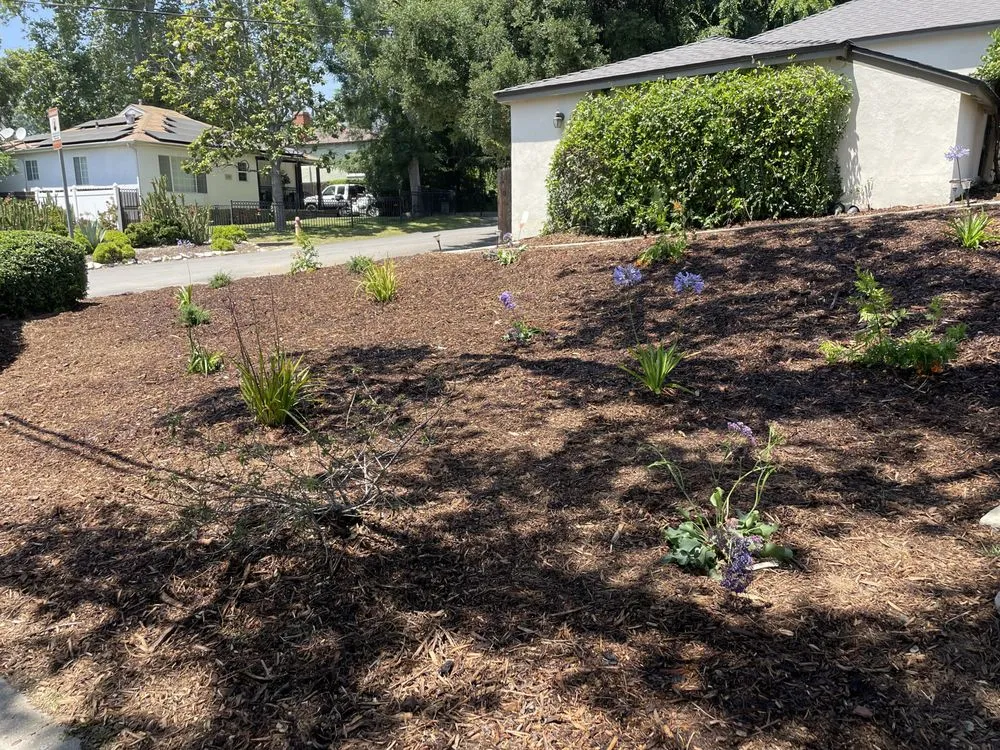Affordable residential landscaping in Monrovia, CA - AR Lawn and Tree Care