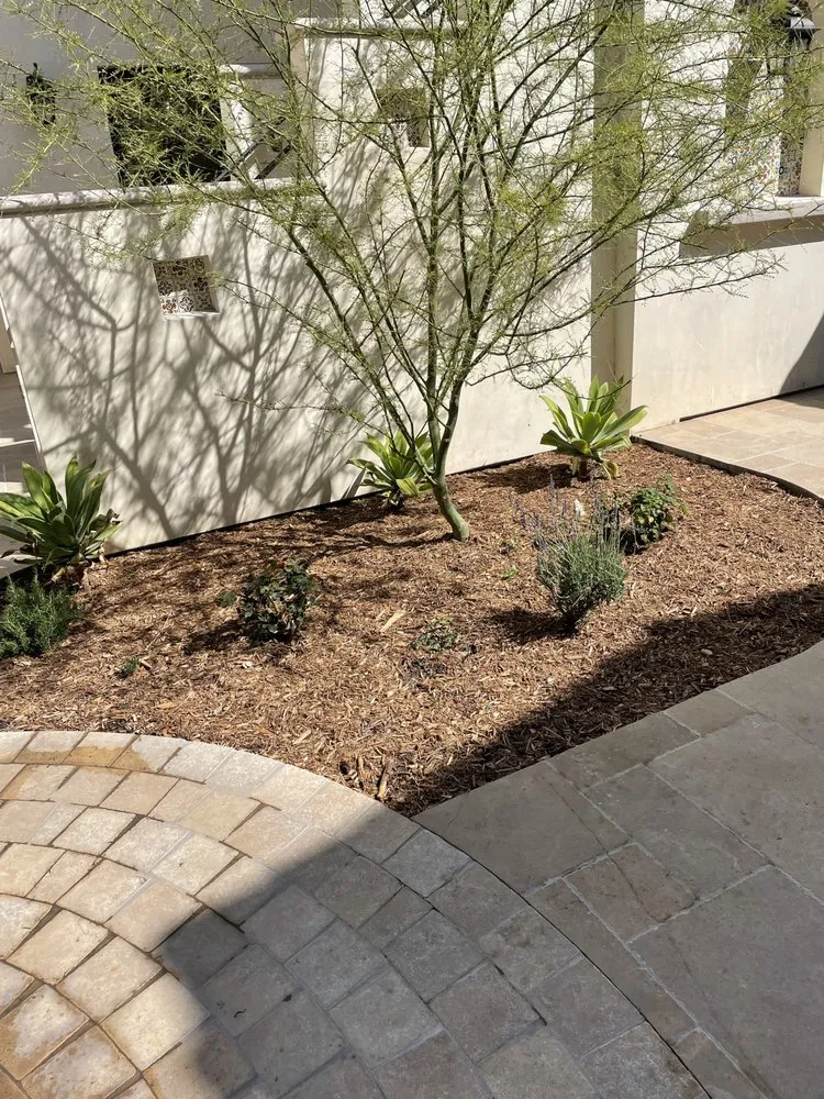 Local outdoor landscaping in Monrovia, CA by AR Lawn and Tree Care