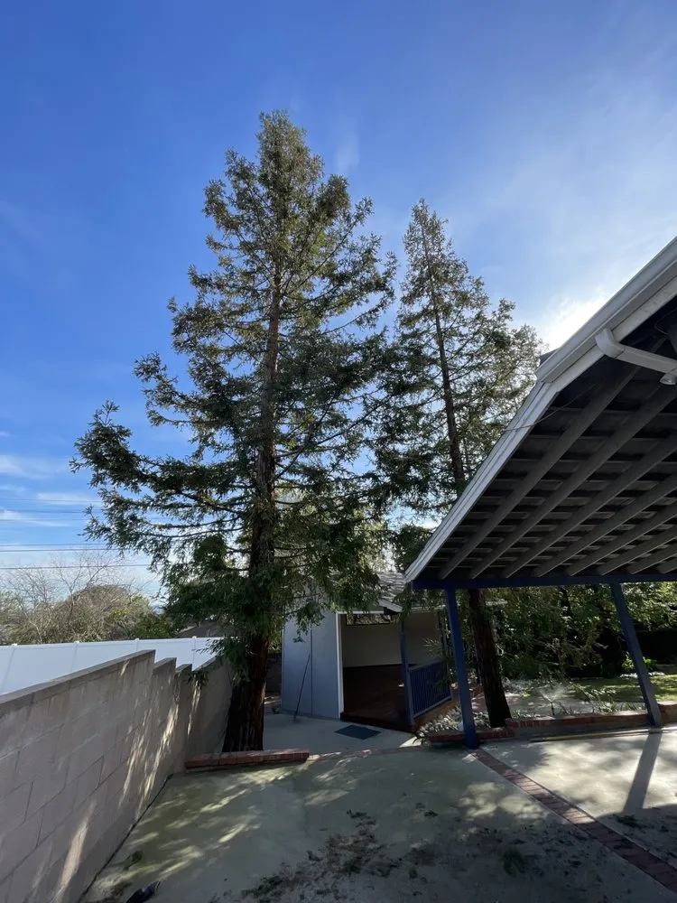 Affordable yard maintenance for year-round maintenance across Monrovia, CA - AR Lawn and Tree Care