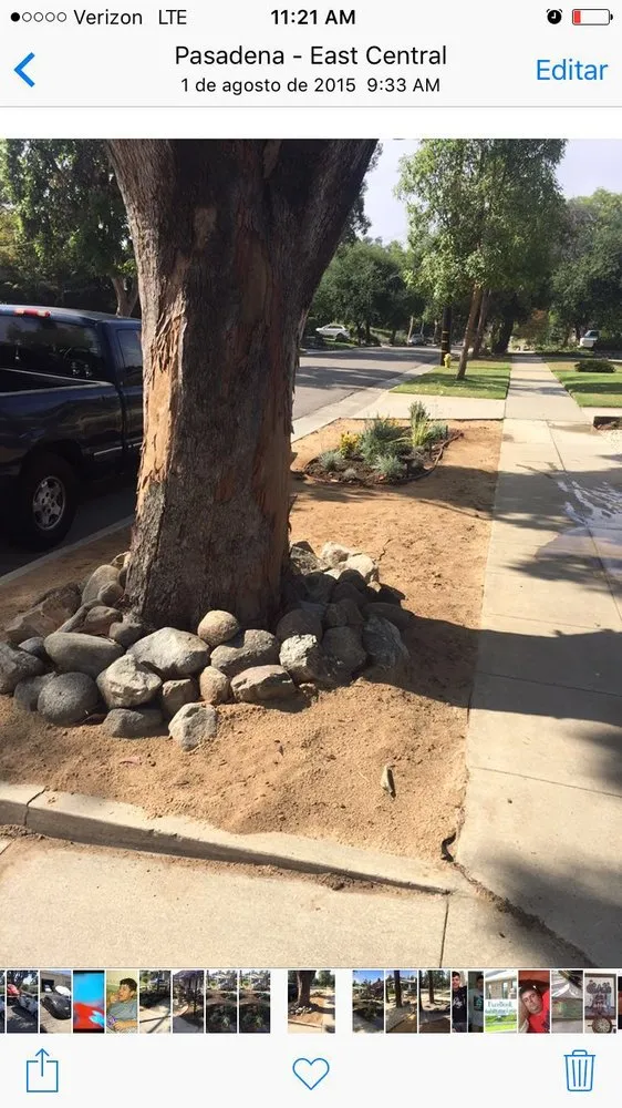 Top-rated lawn mowing service in Monrovia, CA by AR Lawn and Tree Care