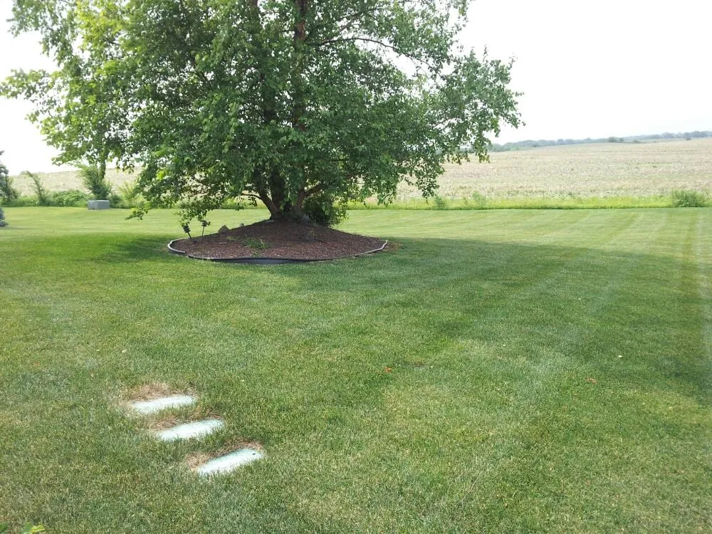 Expert lawn mowing service in Lockport, IL by A&R Lawn Care