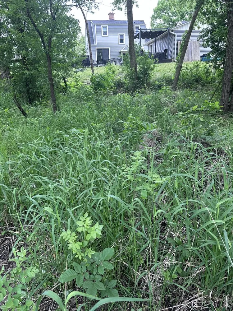 Affordable yard maintenance in Ottawa, IL - A&R Lawn Care