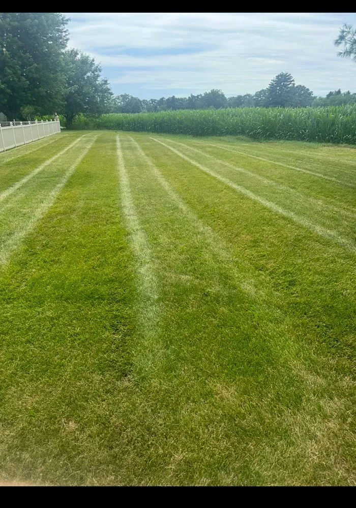 Local landscape design in Ottawa, IL - A&R Lawn Care