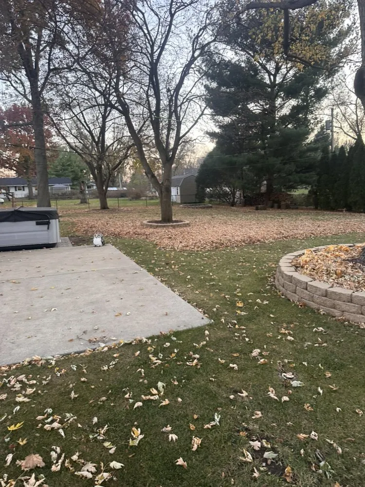Top-rated yard cleanup service for year-round maintenance in Ottawa, IL by A&R Lawn Care
