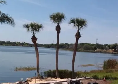 Local landscape installation for outdoor upgrades in Oviedo, FL by AR Lawn Care