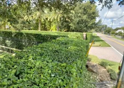 Affordable lawn care service in Oviedo, FL by AR Lawn Care