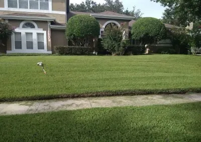 Reliable yard cleanup service in Oviedo, FL - AR Lawn Care