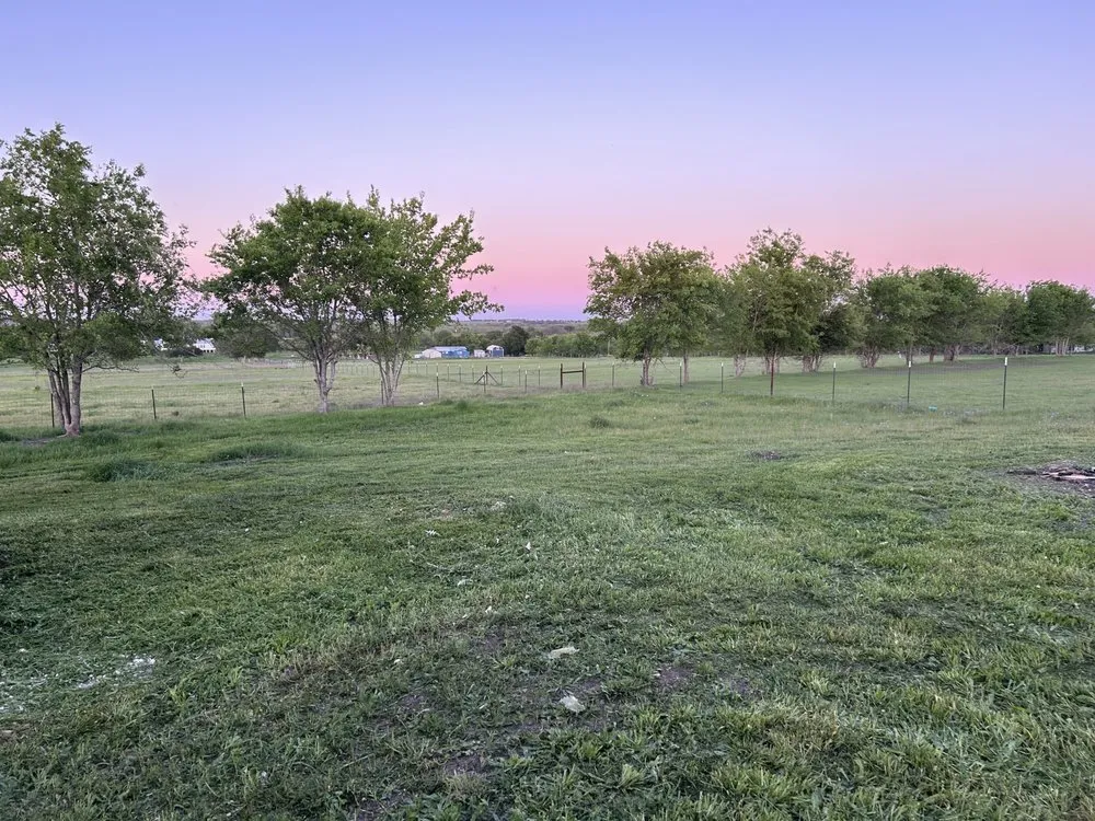 Local yard maintenance experts serving Robinson, TX - AR Lawn Care