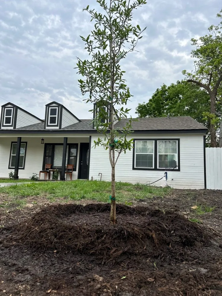 Top-rated lawn care service in Robinson, TX by AR Lawn Care