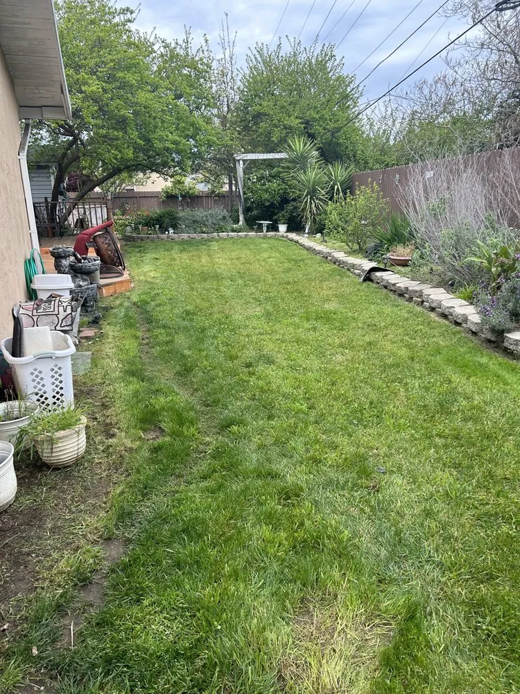 Expert lawn care service for beautiful yards in Tracy, CA by A&R Lawn Care