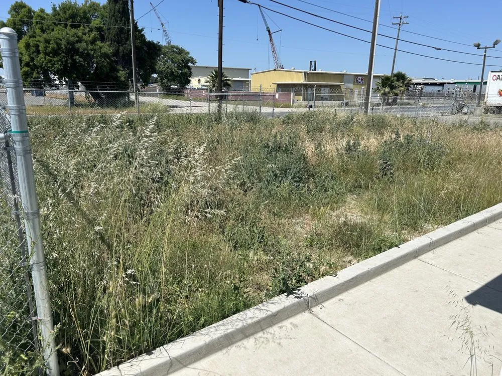 Affordable landscaping services in Tracy, CA - A&R Lawn Care