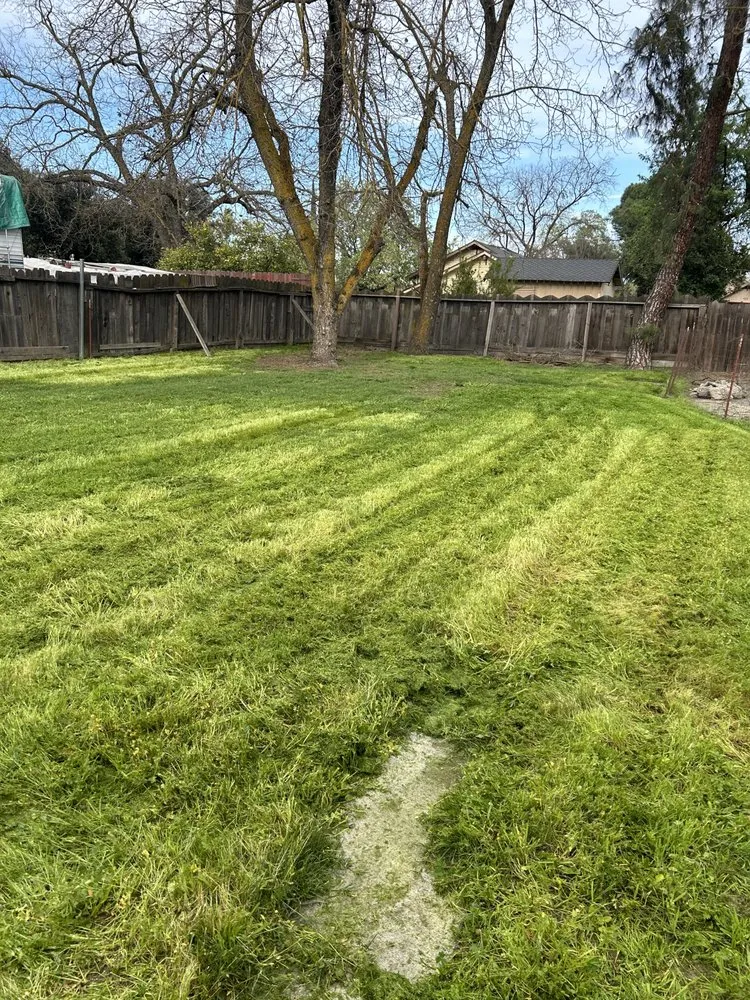 Local landscaping services in Tracy, CA - A&R Lawn Care