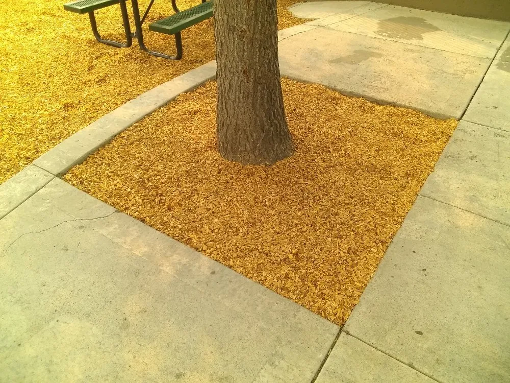 Professional garden landscaping for beautiful yards across Reno, NV - A&R Lawn Maintenance