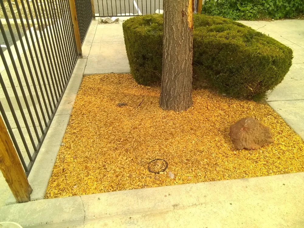 Top-rated landscaping services with custom design in Reno, NV by A&R Lawn Maintenance