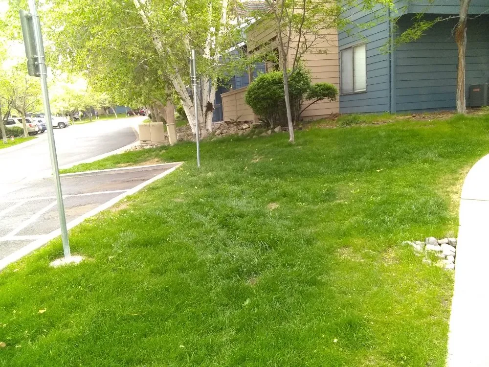 Custom residential landscaping in Reno, NV - A&R Lawn Maintenance