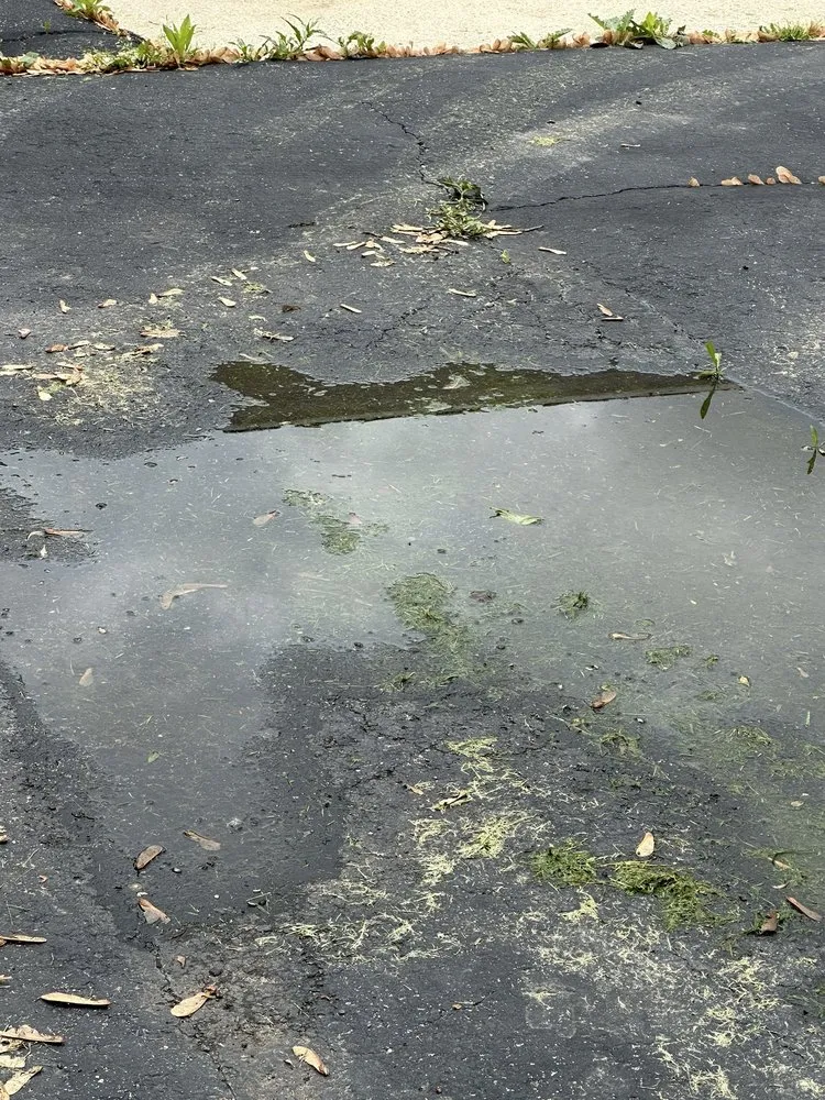 Top-rated garden landscaping in Hometown, IL by A.r Lawn Service