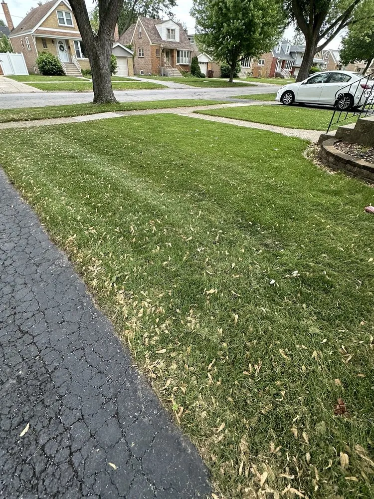 Reliable residential landscaping experts serving Hometown, IL - A.r Lawn Service