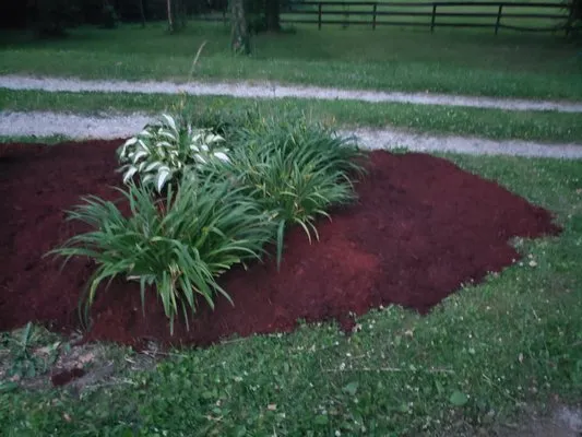 AR Lawncare and landscaping