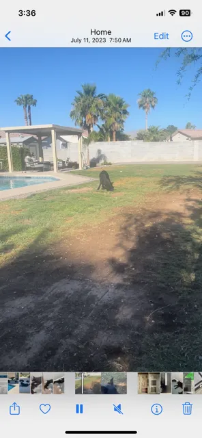 Trusted landscaping services in Las Vegas, NV - A&R Maintenance & Landscaping