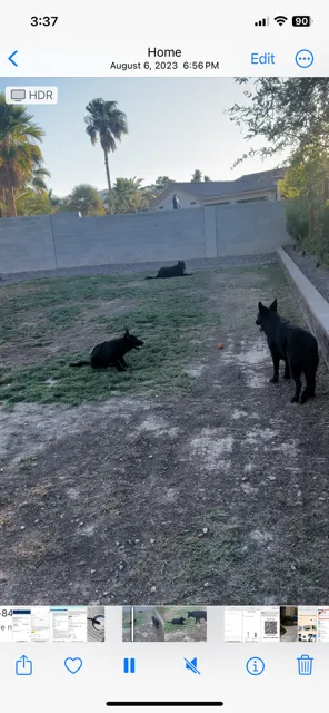 Reliable residential landscaping for homes in Las Vegas, NV by A&R Maintenance & Landscaping