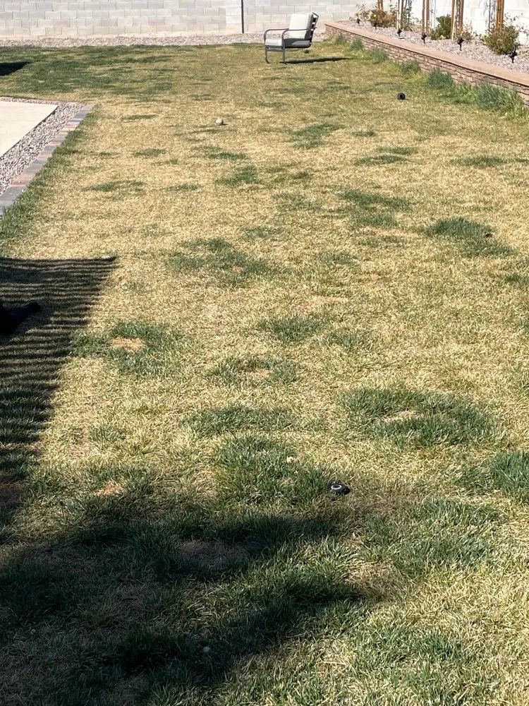 Top-rated landscaping services in Las Vegas, NV by A&R Maintenance & Landscaping