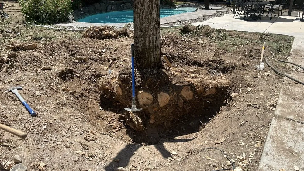 Affordable outdoor landscaping experts serving Las Vegas, NV - A&R Maintenance & Landscaping