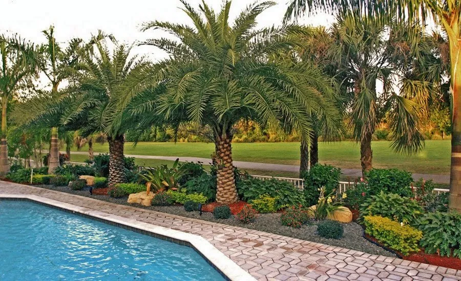 Reliable yard cleanup service in Lauderdale Lakes, FL - AR Maintenance Solutions